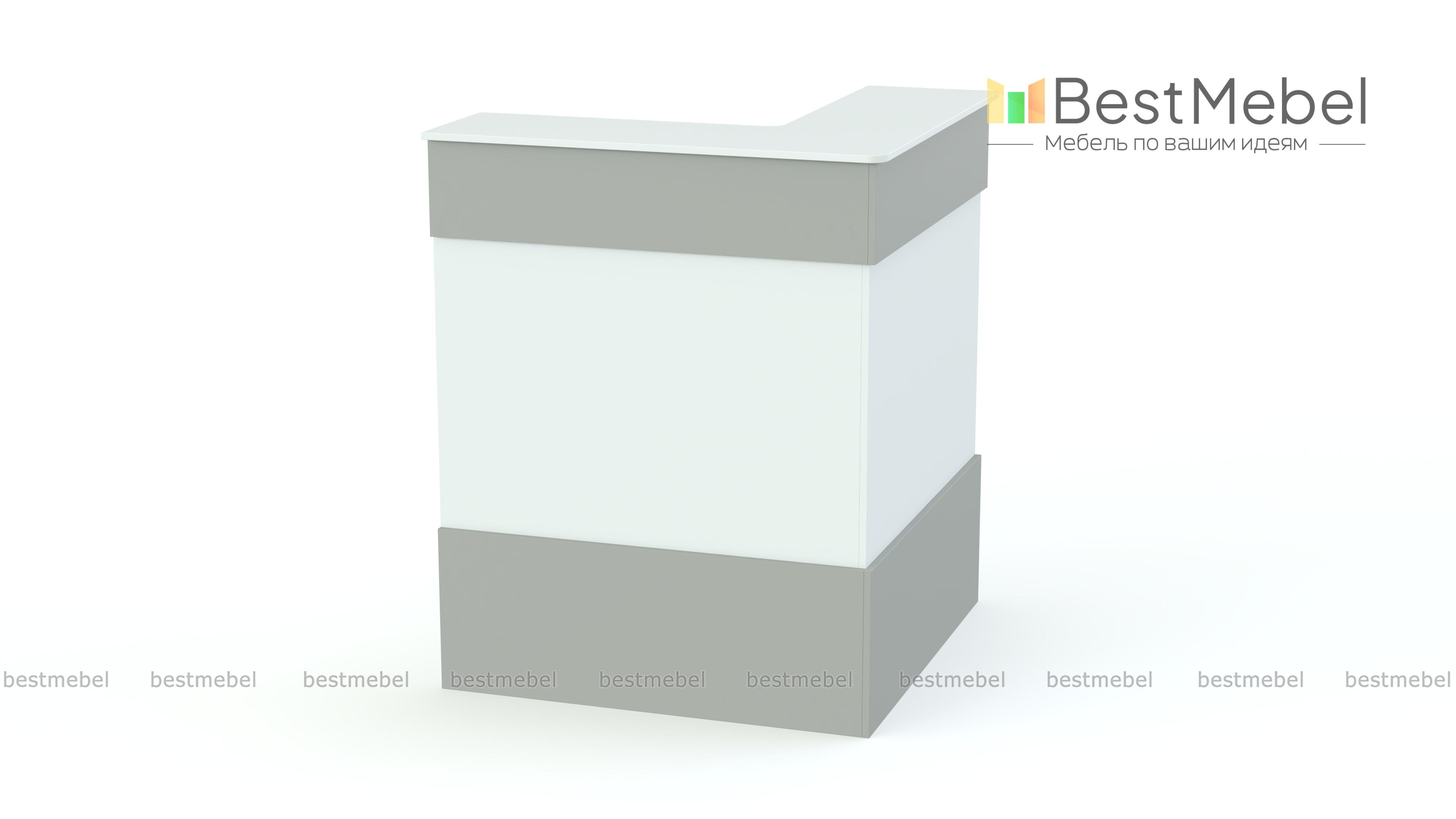 Ресепшен Рейна №4 BMS - Фото