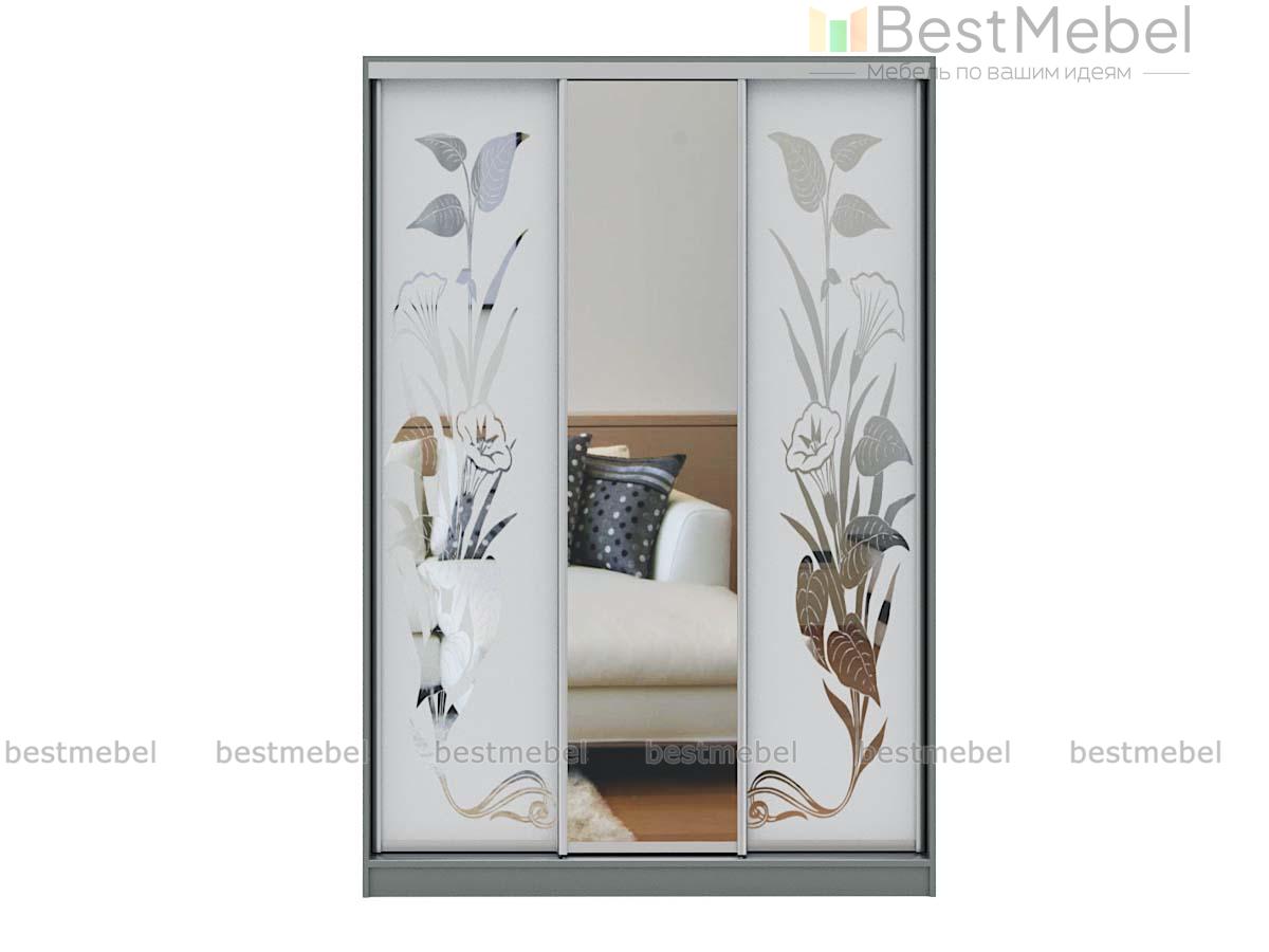 Шкаф-купе Концепт-27 BMS - Фото