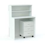 Ресепшен Рейна №1 с тумбой BMS - Фото 4