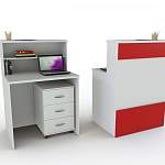 Ресепшен Рейна №1 с тумбой BMS - Фото 3