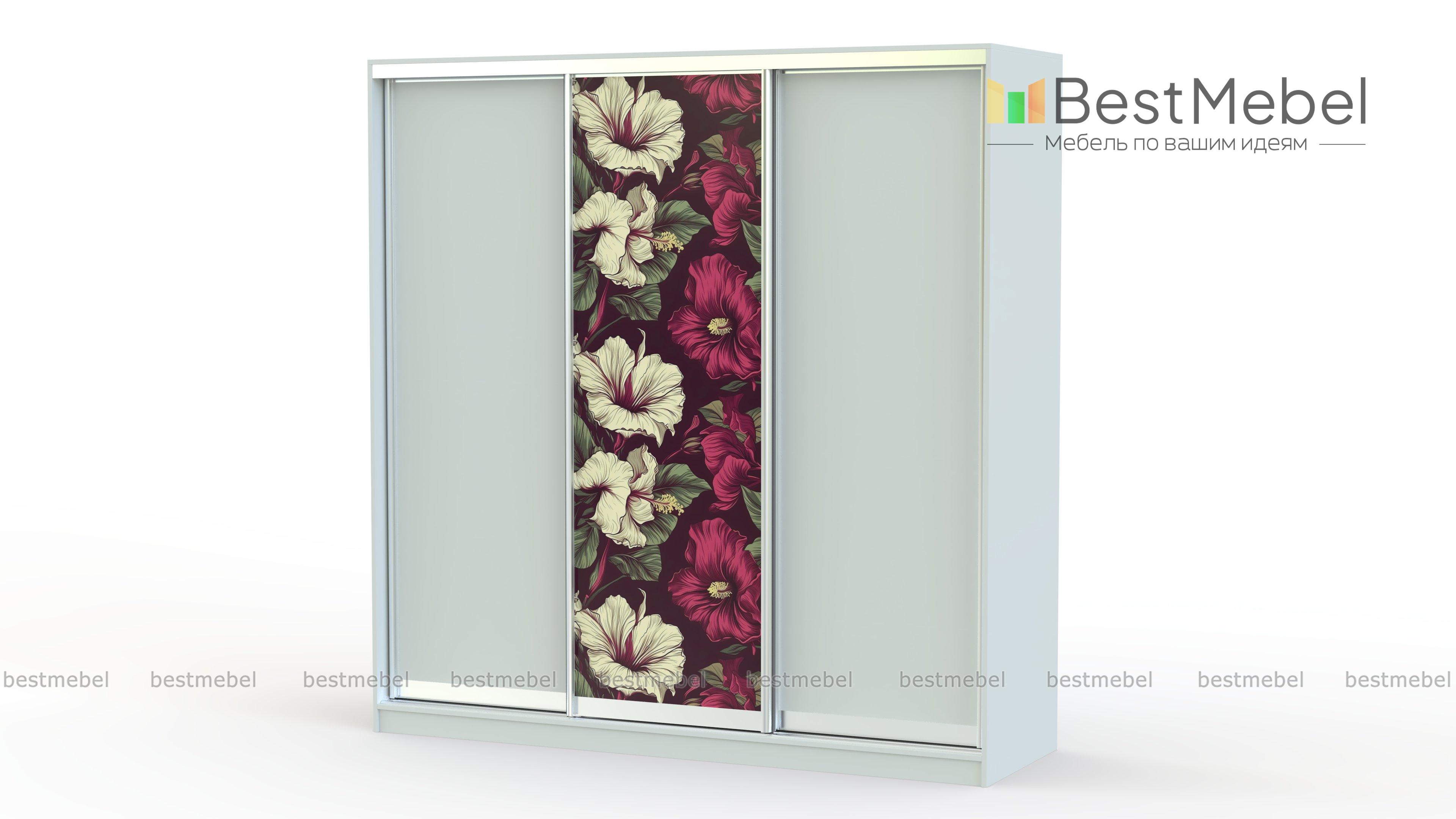 Шкаф-купе Композиция-54 BMS - Фото