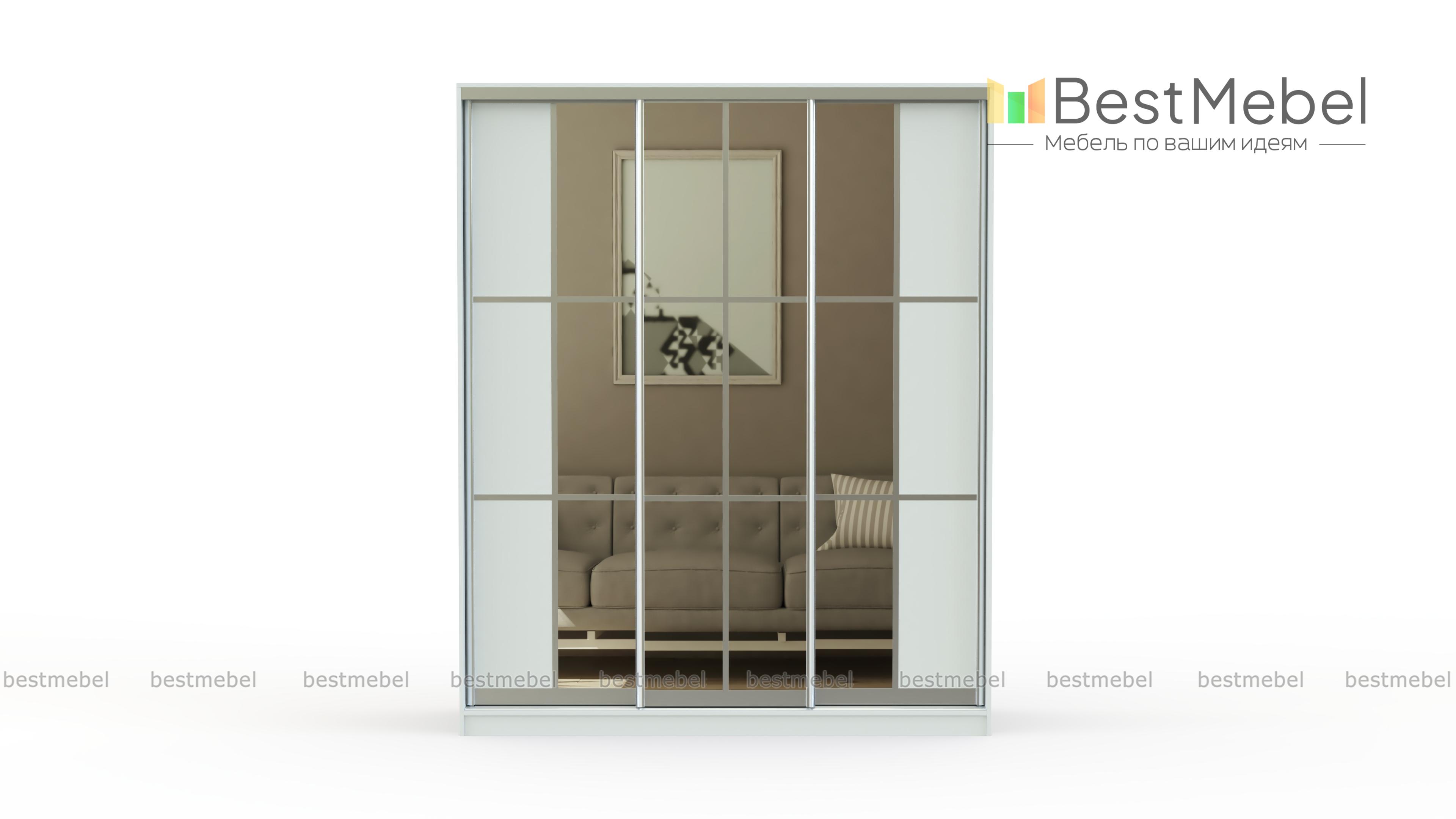 Шкаф-купе Аристократ-15 BMS - Фото