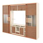 Шкаф-купе с нишей под ТВ Робин BMS - Фото 1