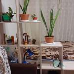 Стеллаж Стюарт BMS - Фото от клиента