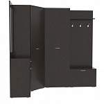 Прихожая Наоми BMS - Фото 2