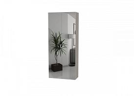 Распашной шкаф Bauhaus 8-2 BMS(Белье - Платье с полкой (2)) (780х2600х600)